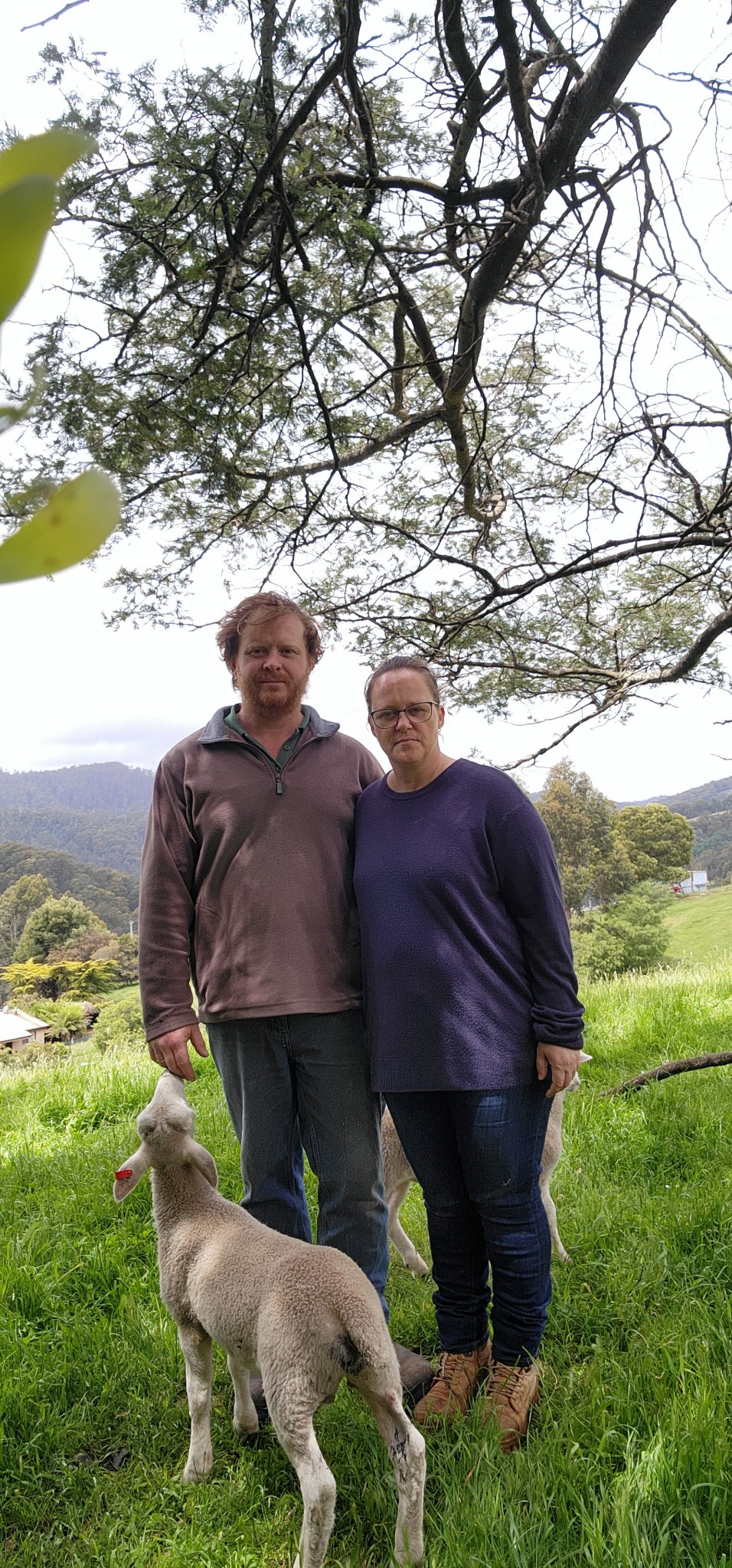Rowelley Farm Sprout Tasmania