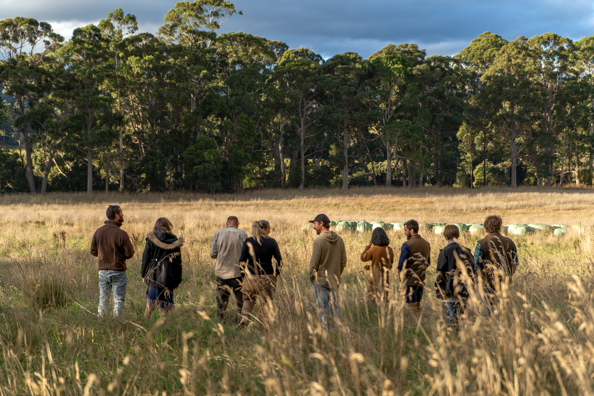 Sprout Producer Program Applications Sprout Tasmania